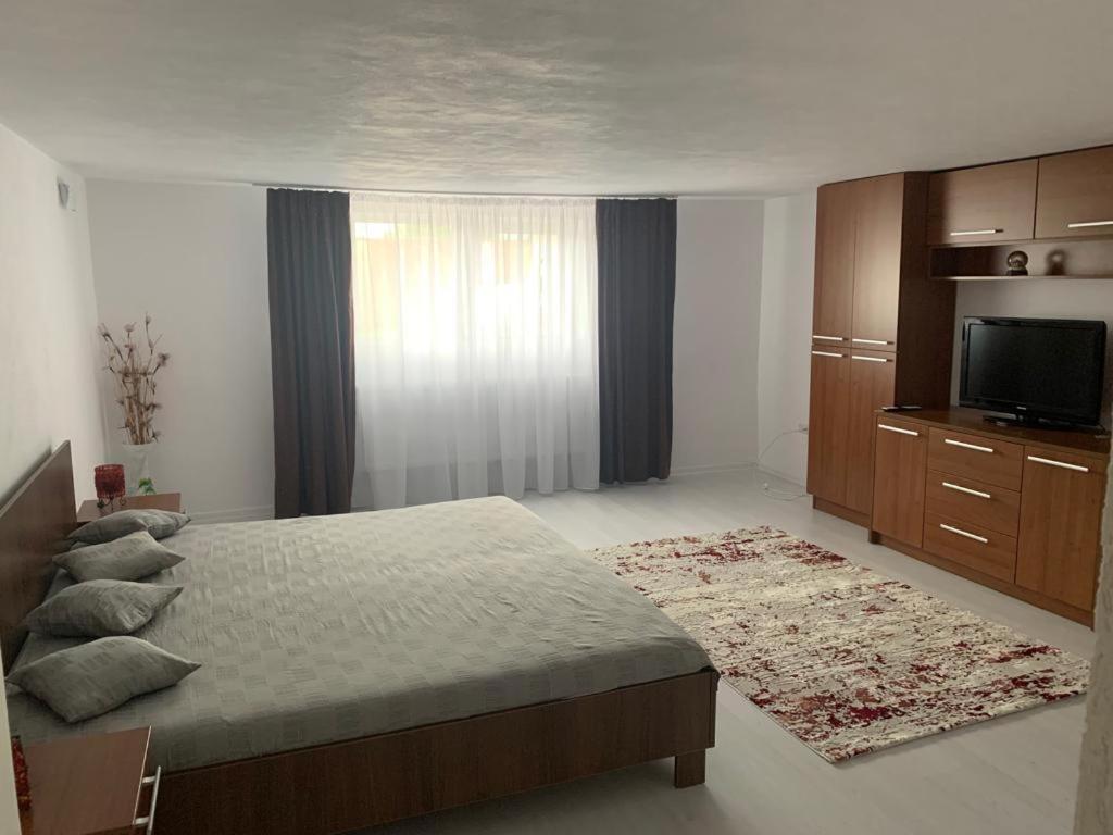Apartmán Casa Deac Sebeş Exteriér fotografie